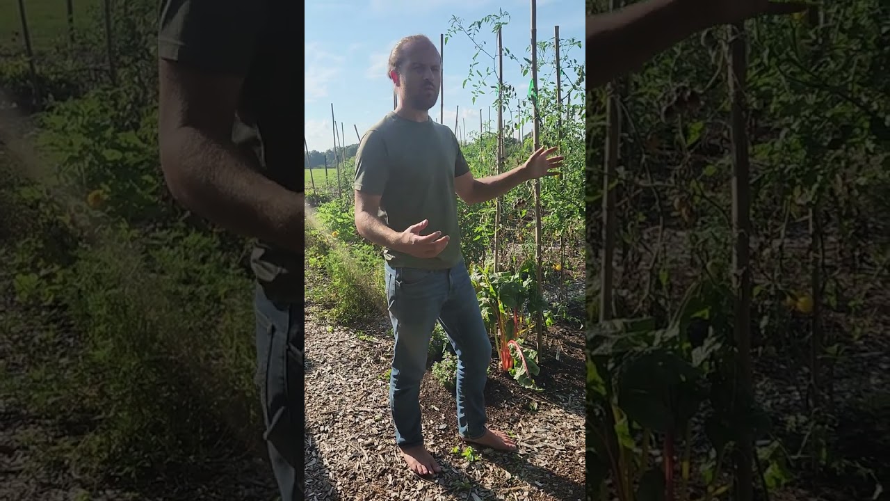 1st Year Temperate Food Forest Pt 1