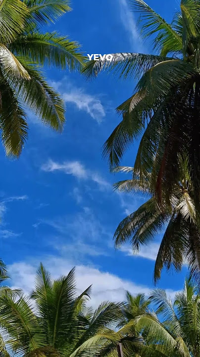 music|togetherness is always beautiful