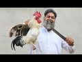 Lunch Routine | Healthy lunch Recipe | Rooster Recipe | Desi Murgh | Mubarak Ali | Tour And Taste