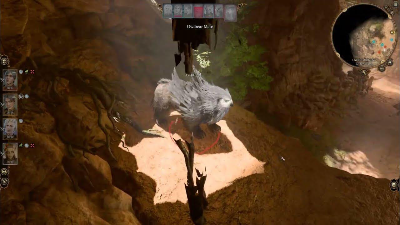 BG3 Honour mode, Fighter run, Owlbear fight (lvl 4) YouTube