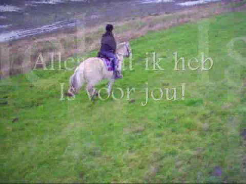 alles wat ik heb