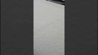 Welcome spring..11 of April 2024 #winter #snow #nature #travel #spring#video #ice