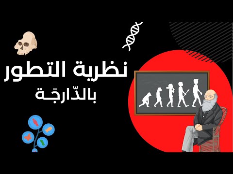 نظرية التطور بالدارجة بودكاست بالدارجة