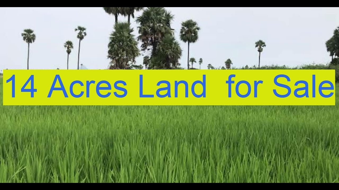 Agricultural land in Hyderabad for Sale Land for Sale l Agents Adda l