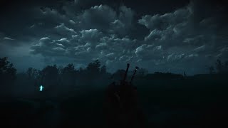 The Witcher 3 Next Gen 4K Ray Tracing RX 6800 XT