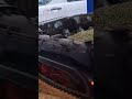 DAMPFLOKOMOTIVE DB BR 18 201 MIT PERSONENWAGEN