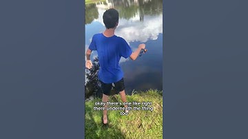 How To Catch Bluegill #fishingequipment #twolessfishinthesea #bassfishing #video