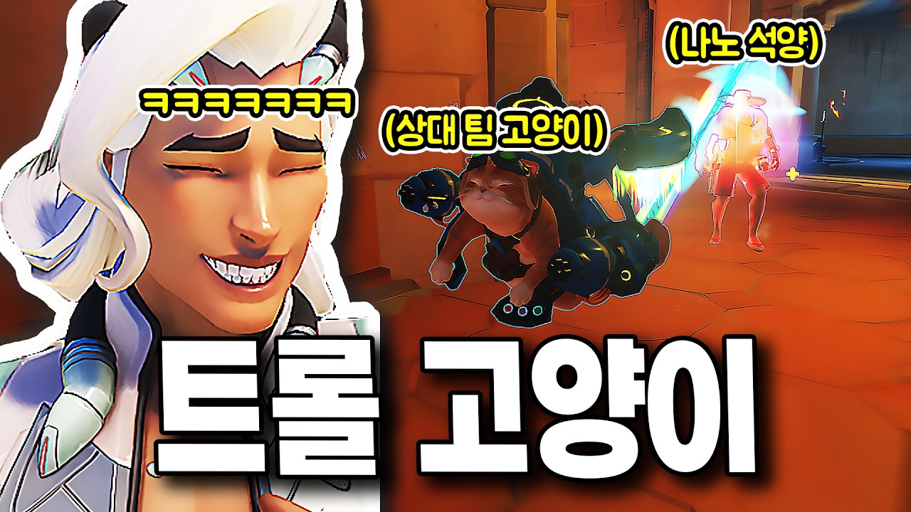 우리 나노 석양 캐서디를 끌고 가서 팀원을 다 죽인 상대 고양이 ㅋㅋㅋ [오버워치]