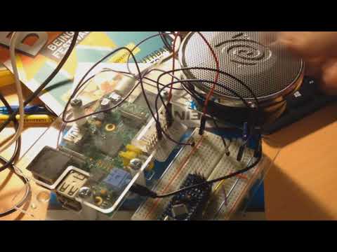 Raspberry Pi and