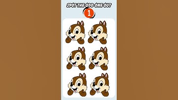 Find The Odd One Out | Quiz Gym