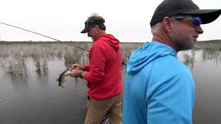 Trick Stick Tips To Help You Catch More Bass