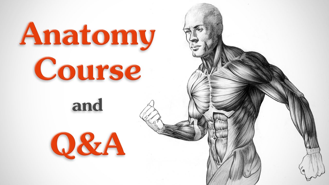 ⁣Anatomy Course and Live Q&A Hangout