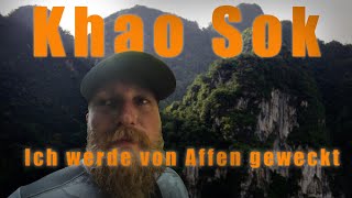 Khao Sok - hier sind Affen dein Wecker