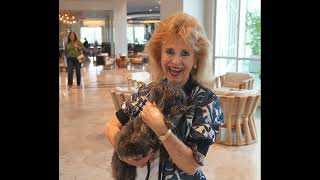 Download Lagu SAF 2022 edited final video from Flowersandcents.com MP3