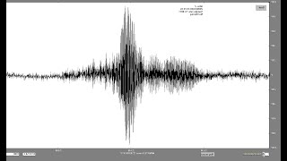 Cooing Vocalizations | A Spectrum Analysis Breakdown