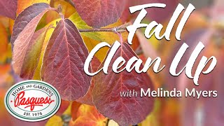 Easy Yard Clean Up Tips for Fall