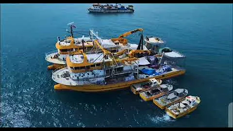 4K video to capture breathtaking details and sensations.