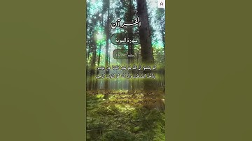 SURAH AL-TAUBAH || سورة التوبة