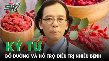 Khám Phá Tác Dụng Của Kỷ Tử | SKĐS