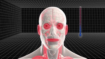 Texas lab loses vial of deadly virus