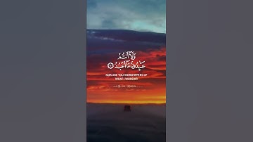 سورة الكافرون 💞القران الكريم🌷 حالات واتس اب دينية قصيرة ✅