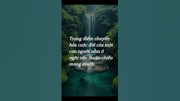 #Triết Lý Giáo Dục Tận Gốc #witdaily #Nội Tâm