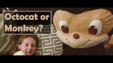 Ask the expert: Octocat or Monkey?