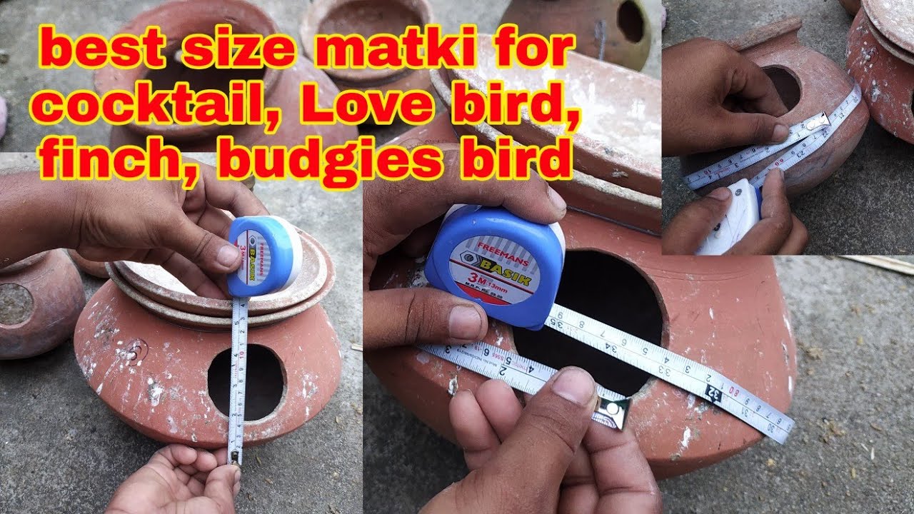 Matki / handi ka porfact size konsi ha cocktail budgies love bird k lea | porfact size of matki