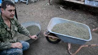 видео: Сколько бензина потребляет мой гранулятор часть 2. картинка: Сколько бензина потребляет мой гранулятор часть 2.