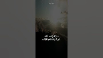 القارئ عمر الدريويز | تلاوه خاشعه حالات واتس اب