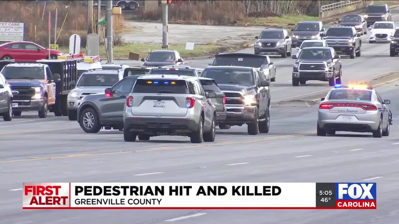 Coroner identifies pedestrian hit and killed on busy highway in ...