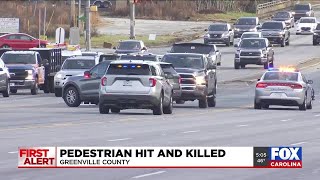 Coroner identifies pedestrian hit and killed on busy highway in Greenville