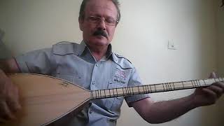 Aşik Gulfani̇ 2020 Zaman Oldu