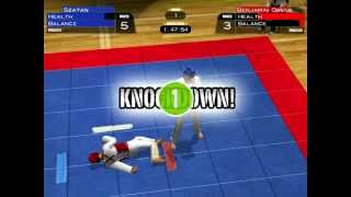 TaeKwonDo World Champion - Championship Mode Gameplay screenshot 5