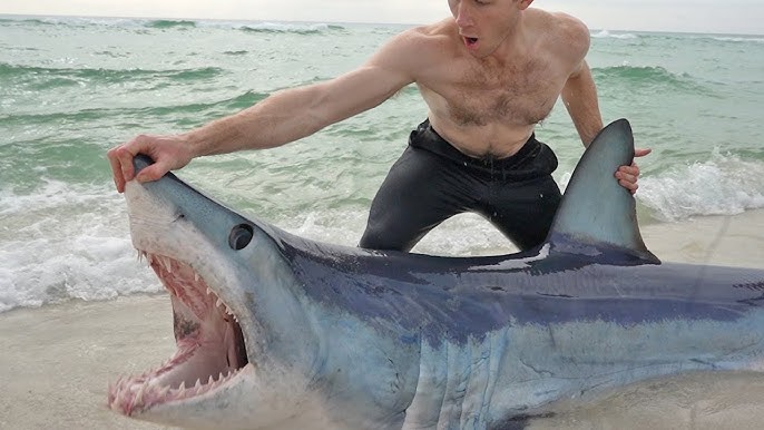 How to Hook Bait to Catch Sharks at the Beach