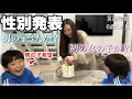 【ご報告】3人目の性別発表!子供たちの反応は?ww【発達性言語障害6歳5ヶ月】
