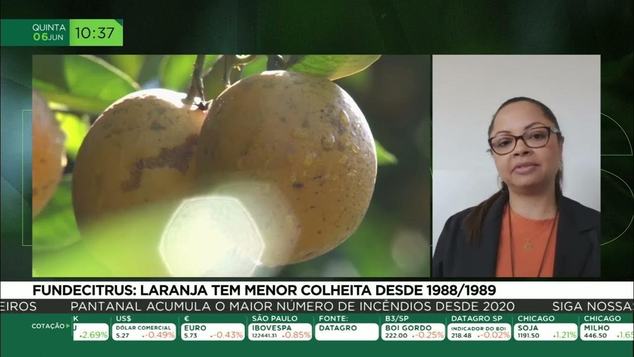 Fundecitrus: laranja tem menor colheira desde 1988/1989