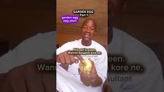🍆 Garden Egg Vocabulary in English & Hausa #learnenglish #hausa #turanci