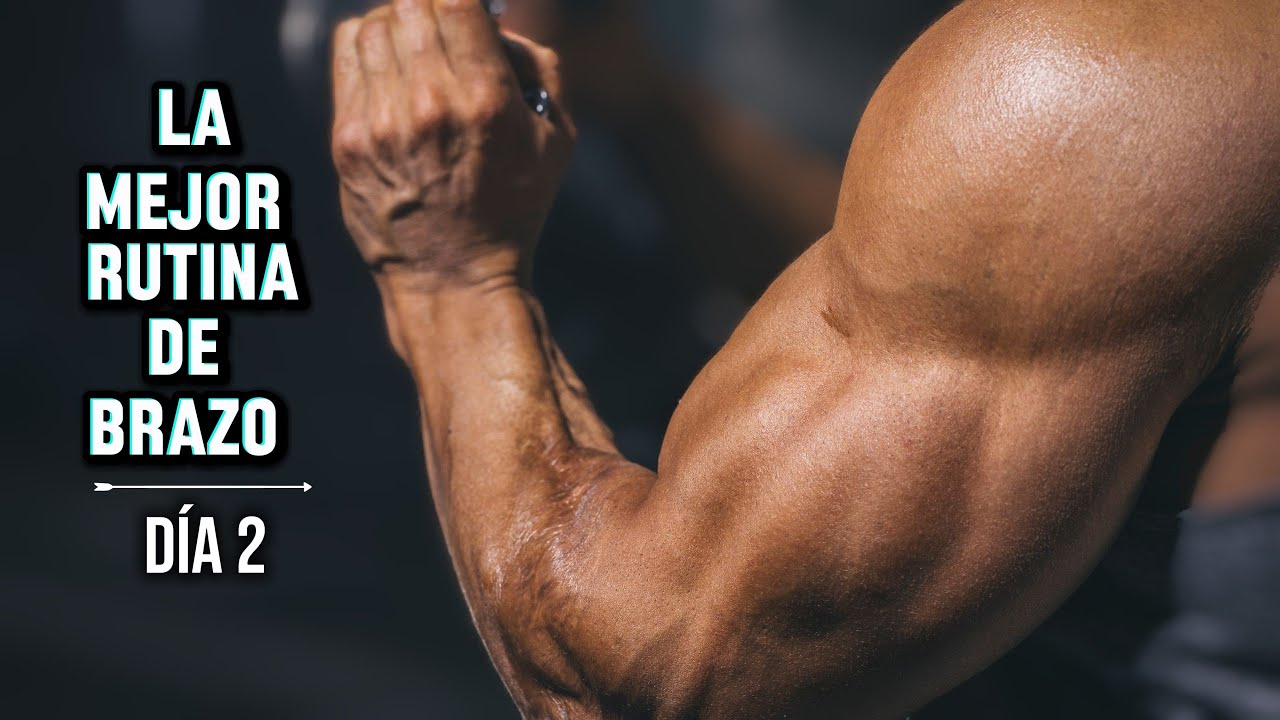 El MEJOR entrenamiento de BRAZO para principiantes (Gym y Casa) | Día 2.