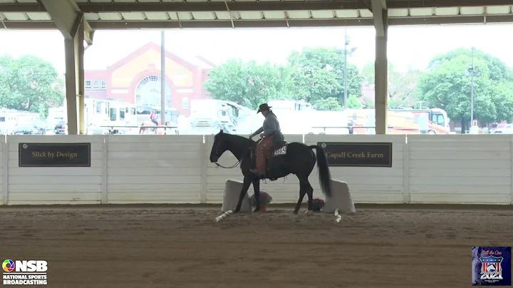 2021 Quarter Horse Congress Amateur Ranch Trail La...