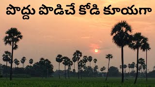Poddu Podiche Kodi Kuyaga || Latest Telugu Christmas Song || Pamarru