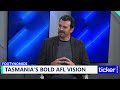 “A powerful enduring stimulus”: The economics of the Tasmania Devils Football Club