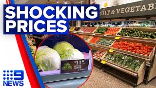 Iceberg lettuce sells for $12 in Queensland grocery store | 9 News Australia