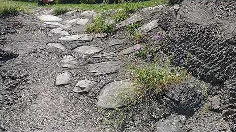 Mst cfx-w rc rock crawling