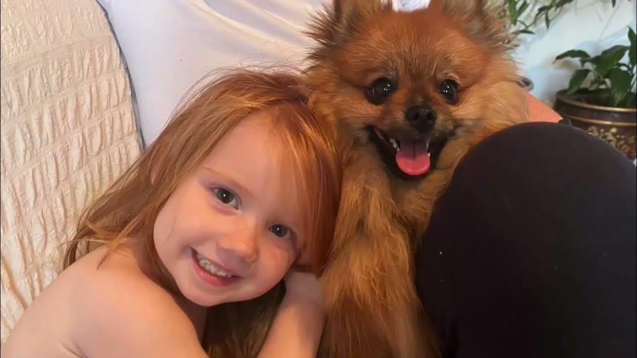 Отзывы о заводчиках шпицев | Питомник шпицев Морошка Мама - YouTube