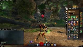 [GW2] Bug Report - Animation Stuck in Overload Air