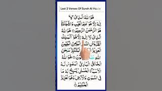 Surah-AL-HASHR🤍      سورۃ الحشر #surahhashrlast3ayat #surahhashr #quranrecitation #qurantilawat
