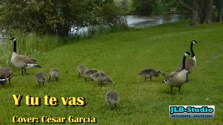 01   Y tu te vas   Csar Garca