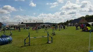 170806 BC Classic Jumping 2 Twilight