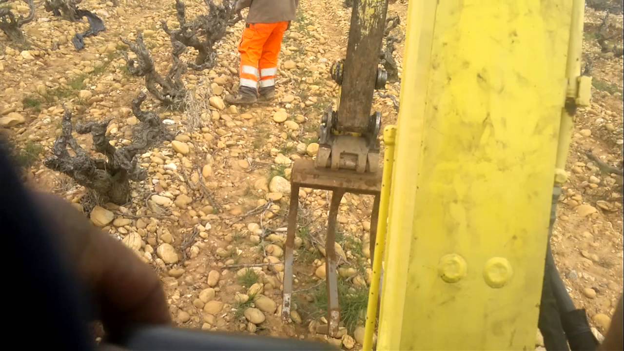 arrachage pied de vigne